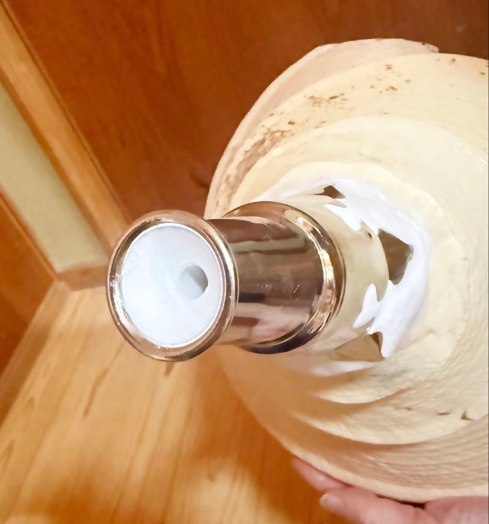 超特大超肉厚55.5㎝アラフラオオニシ法螺貝　ほら貝　ホラガイ