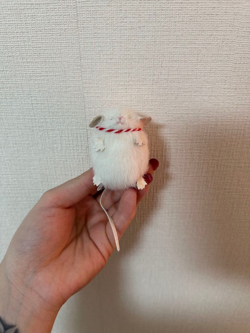 三角ユウリ　ネズミ　正月