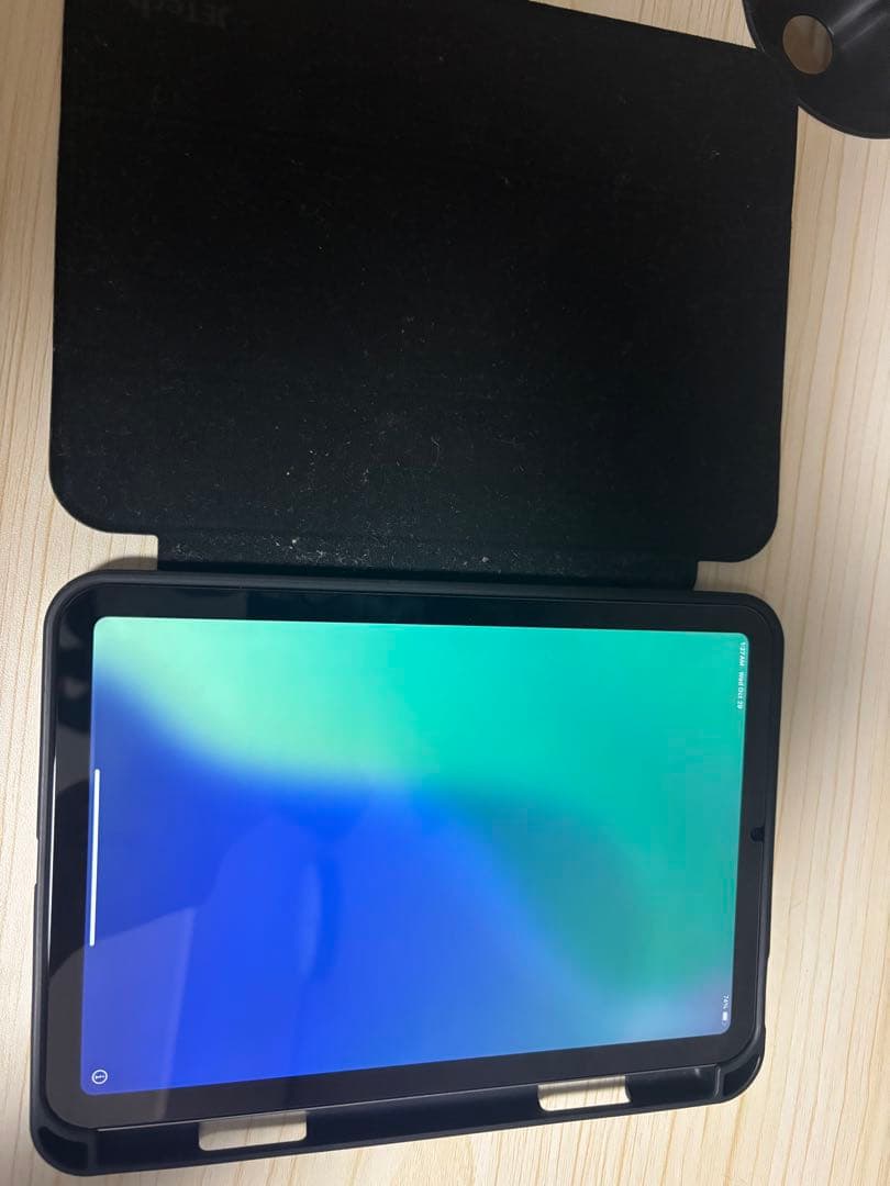 リーヌ　iPad mini スペースグレー 本体　128g