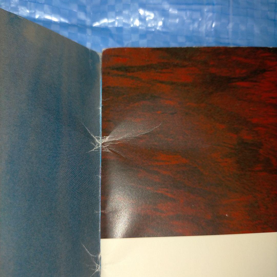 MALICE MIZER Gardenia パンフレット