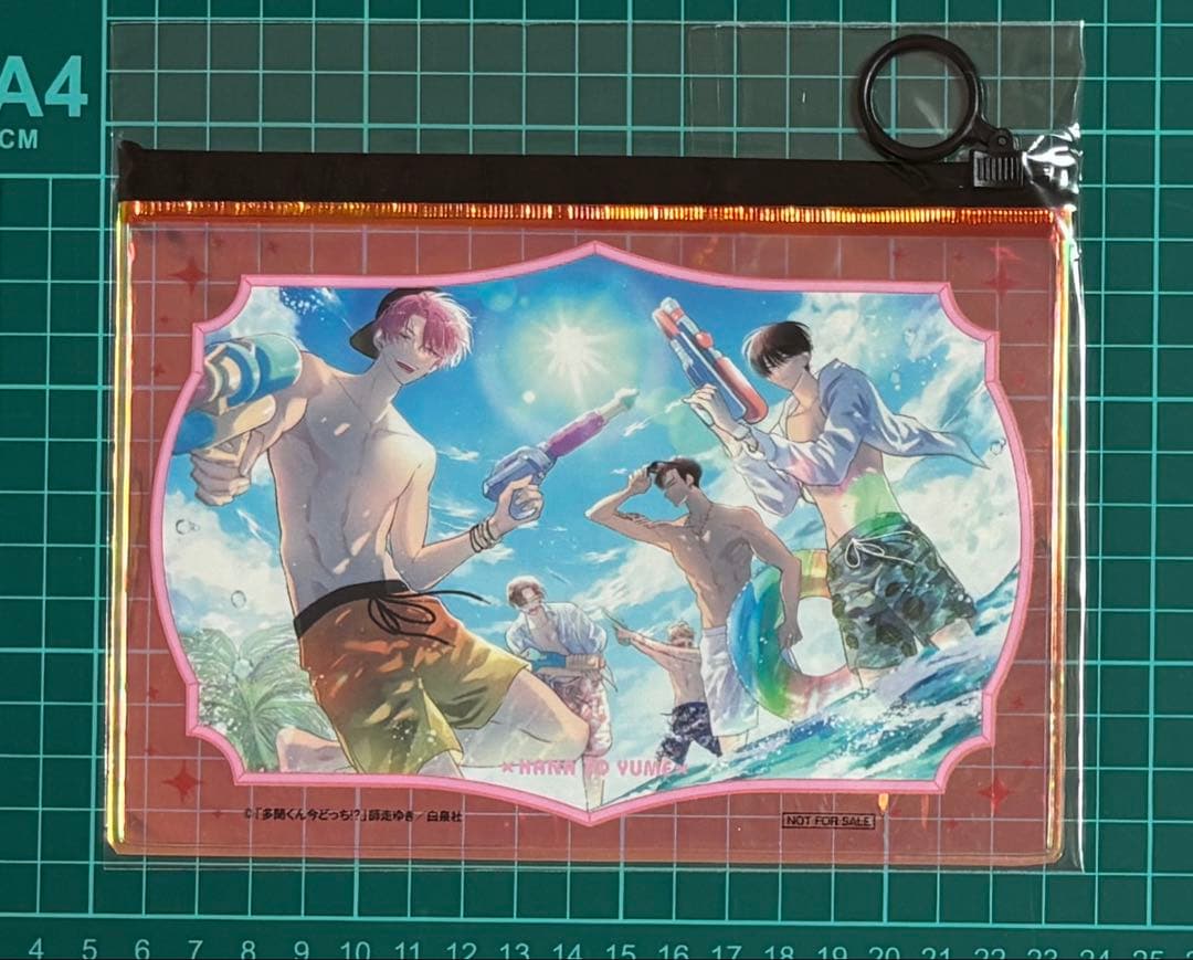 多聞くん今どっち！？　オーロラポーチ　花とゆめ　当選品