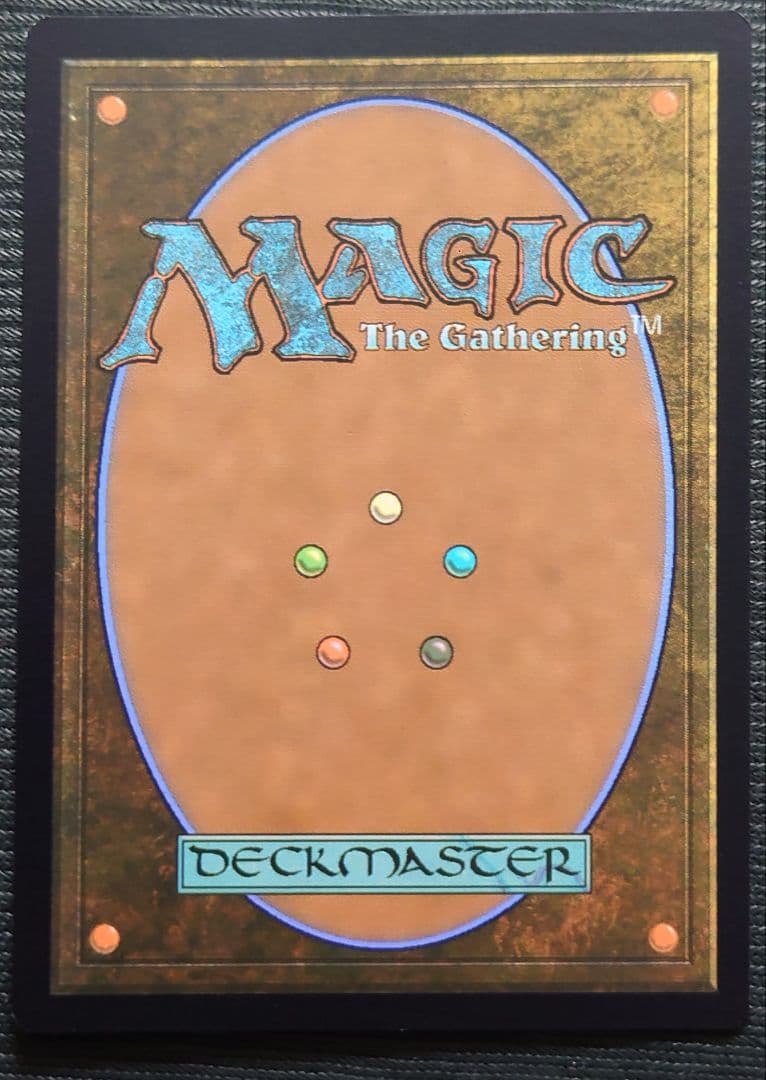 mtg 稀少 英語版 ボーダーレス ティアマト afr