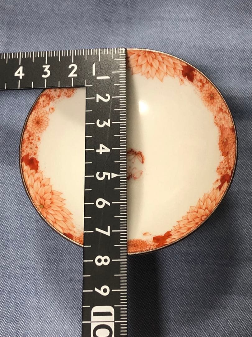 中谷麻瑚　なかたにまこ　花蝶紋　平盃　酒器　九谷焼赤絵細描