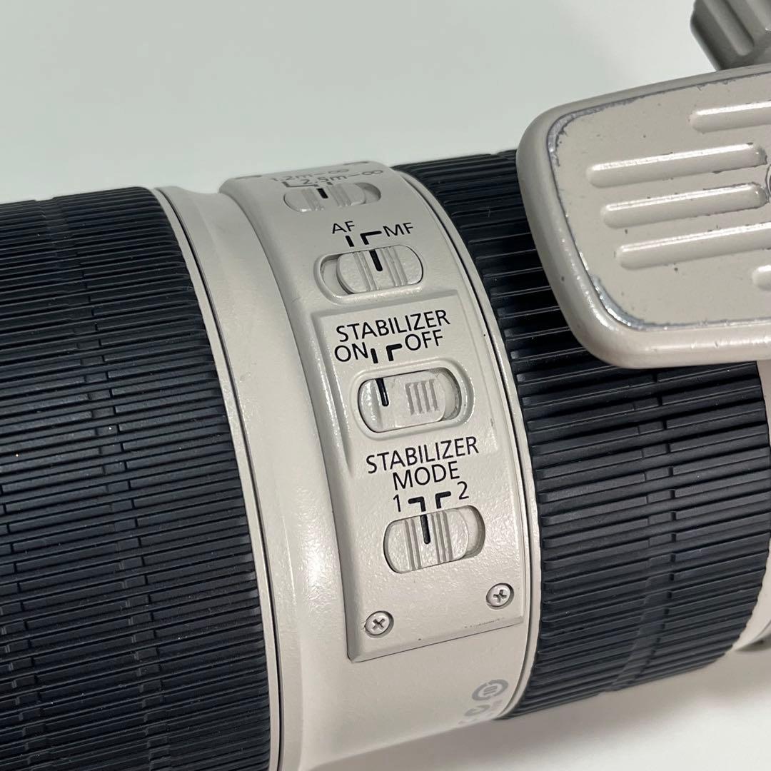 Canon EF 70-200mm f/2.8L IS II USM キャノン
