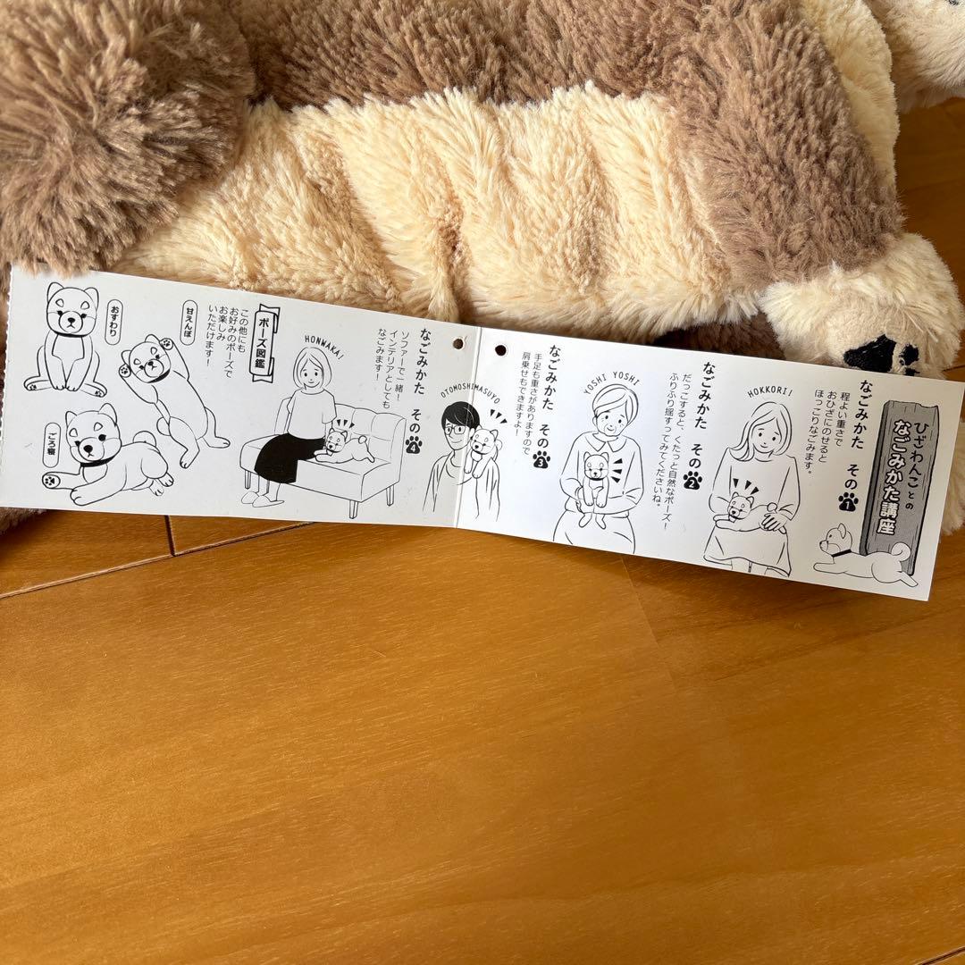 ひざわんこ ミニチュアダックス