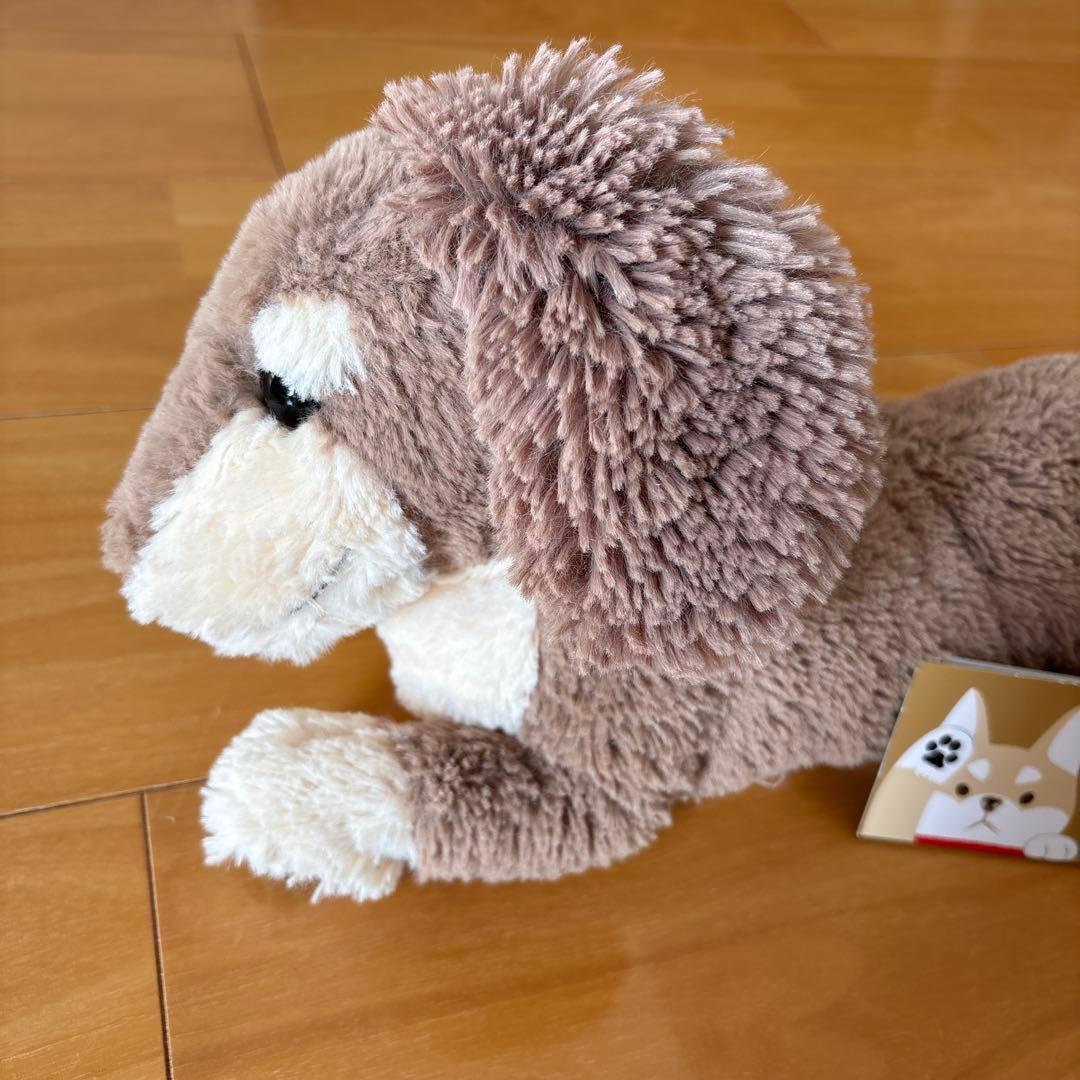 ひざわんこ ミニチュアダックス