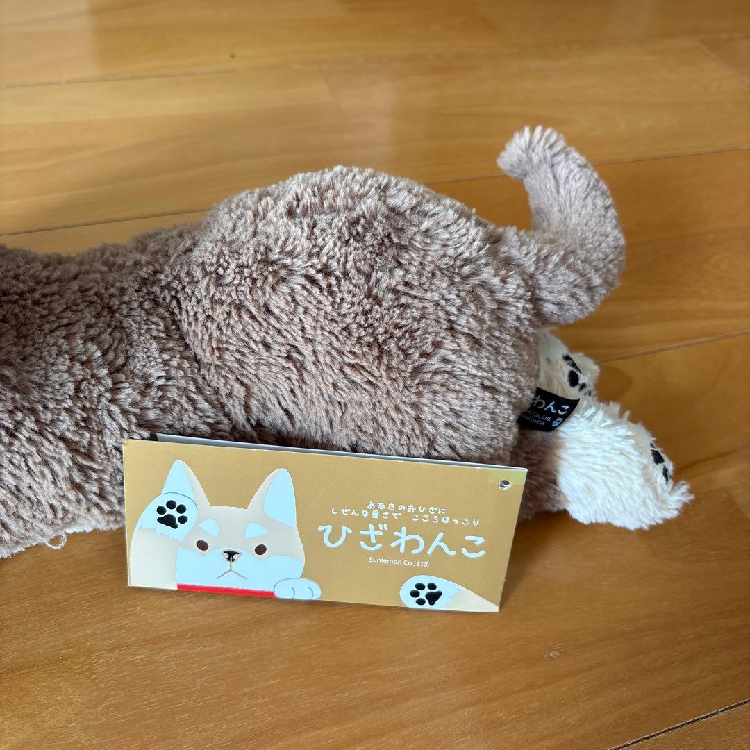 ひざわんこ ミニチュアダックス