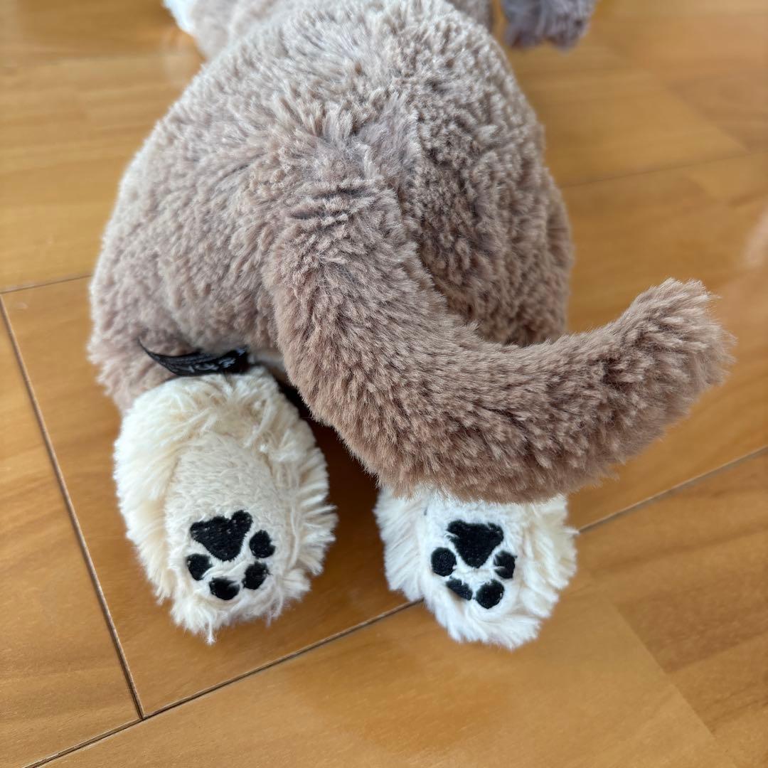 ひざわんこ ミニチュアダックス
