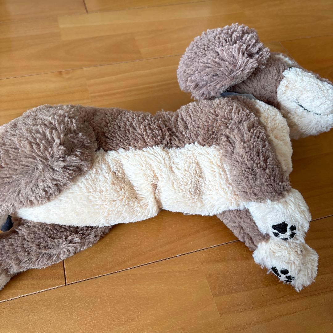 ひざわんこ ミニチュアダックス