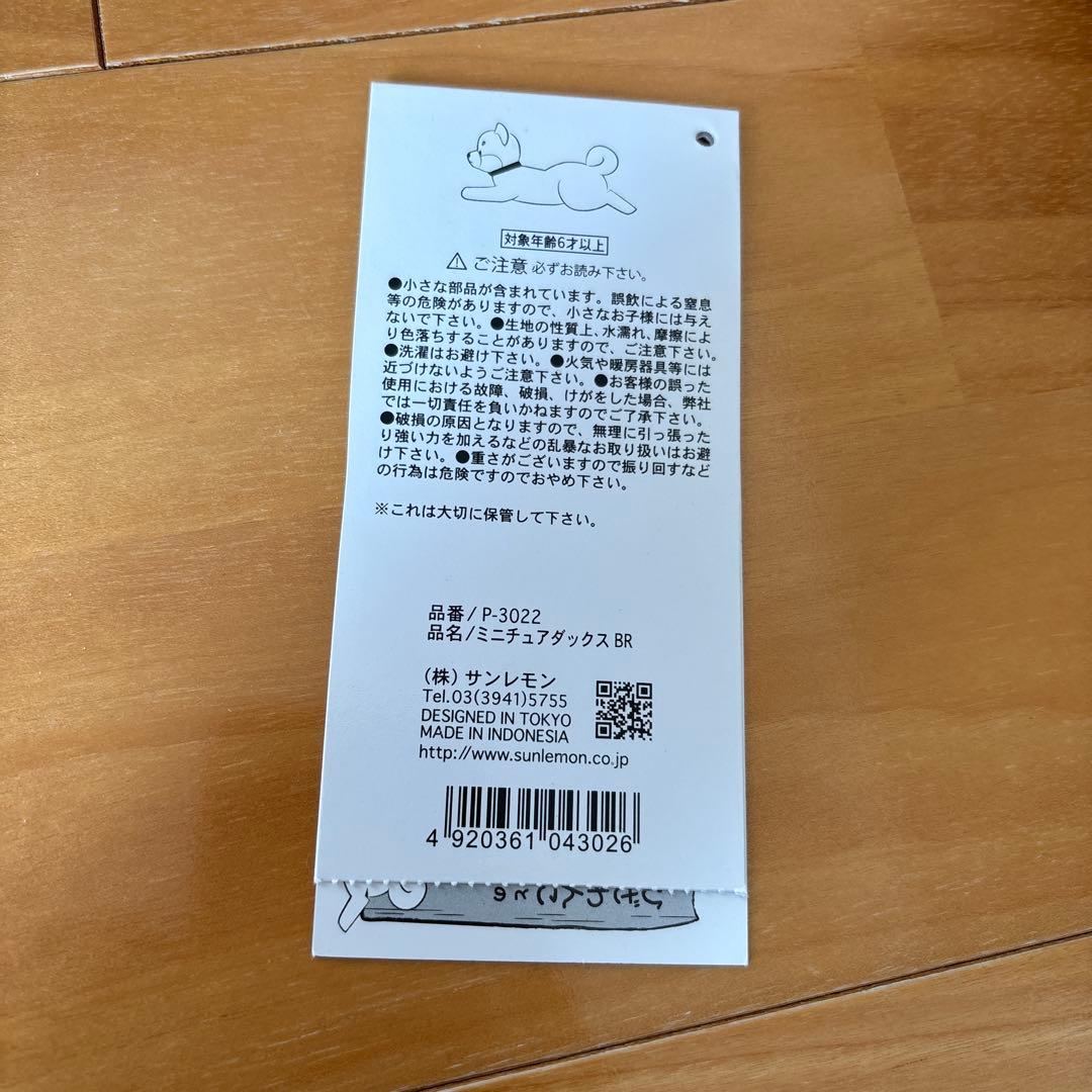 ひざわんこ ミニチュアダックス