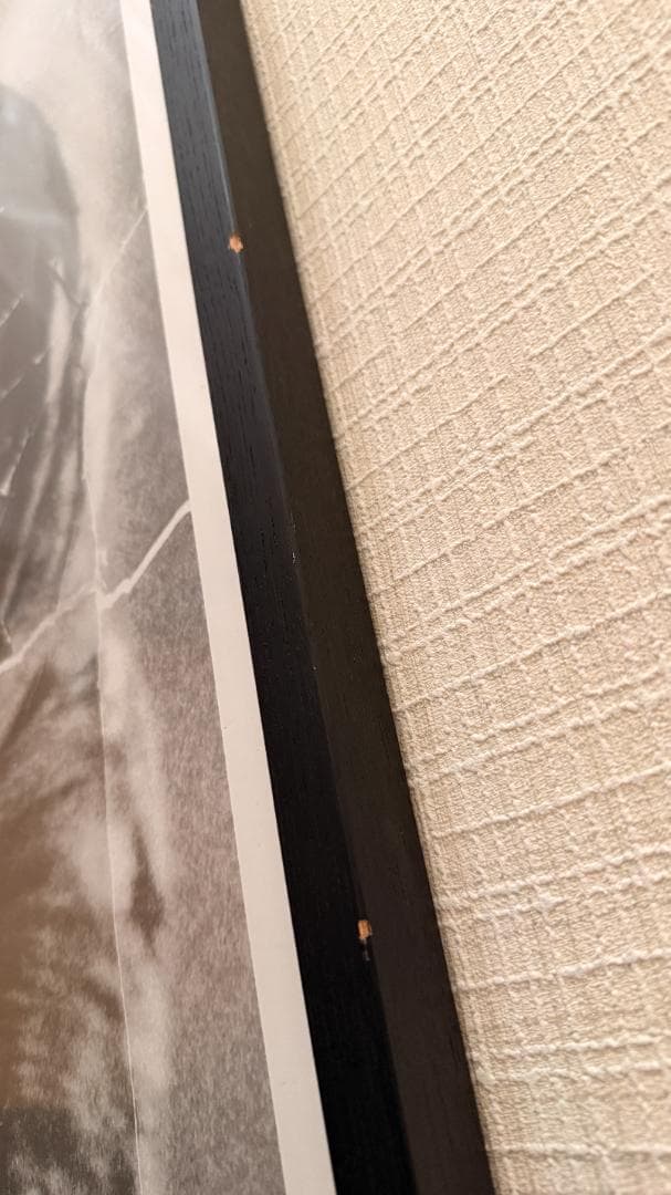 ブルース ウェーバー let's get lost ポスター 96×120 額装