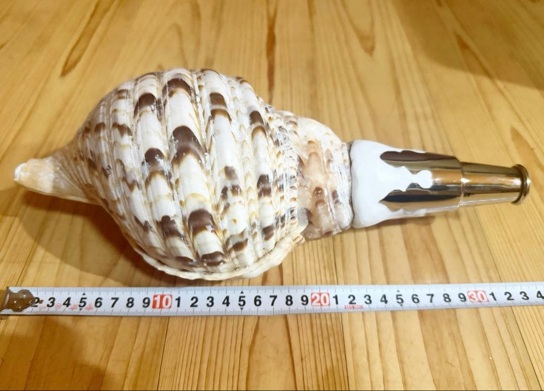 修験道法螺貝　山伏　密教　魔除け　熊よけ❣️ほら貝　ホラガイ