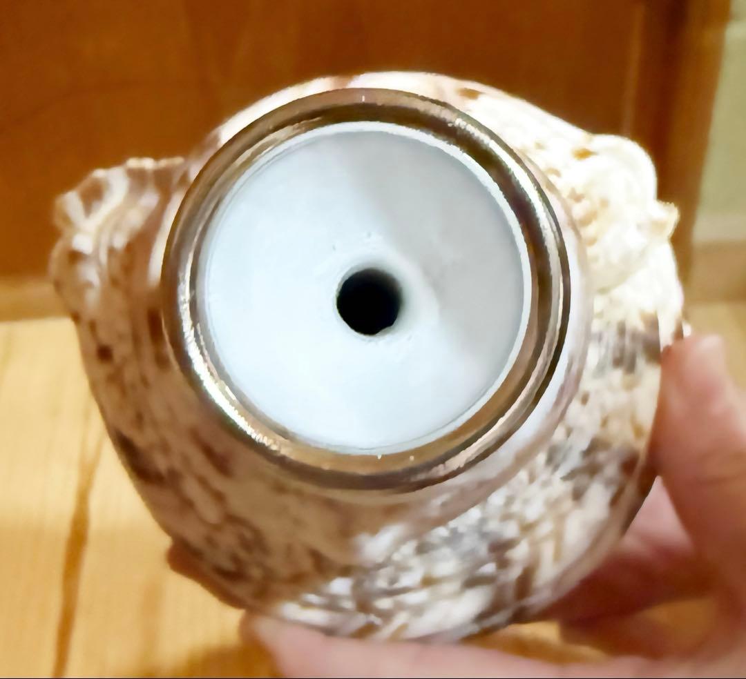 修験道法螺貝　山伏　密教　魔除け　熊よけ❣️ほら貝　ホラガイ