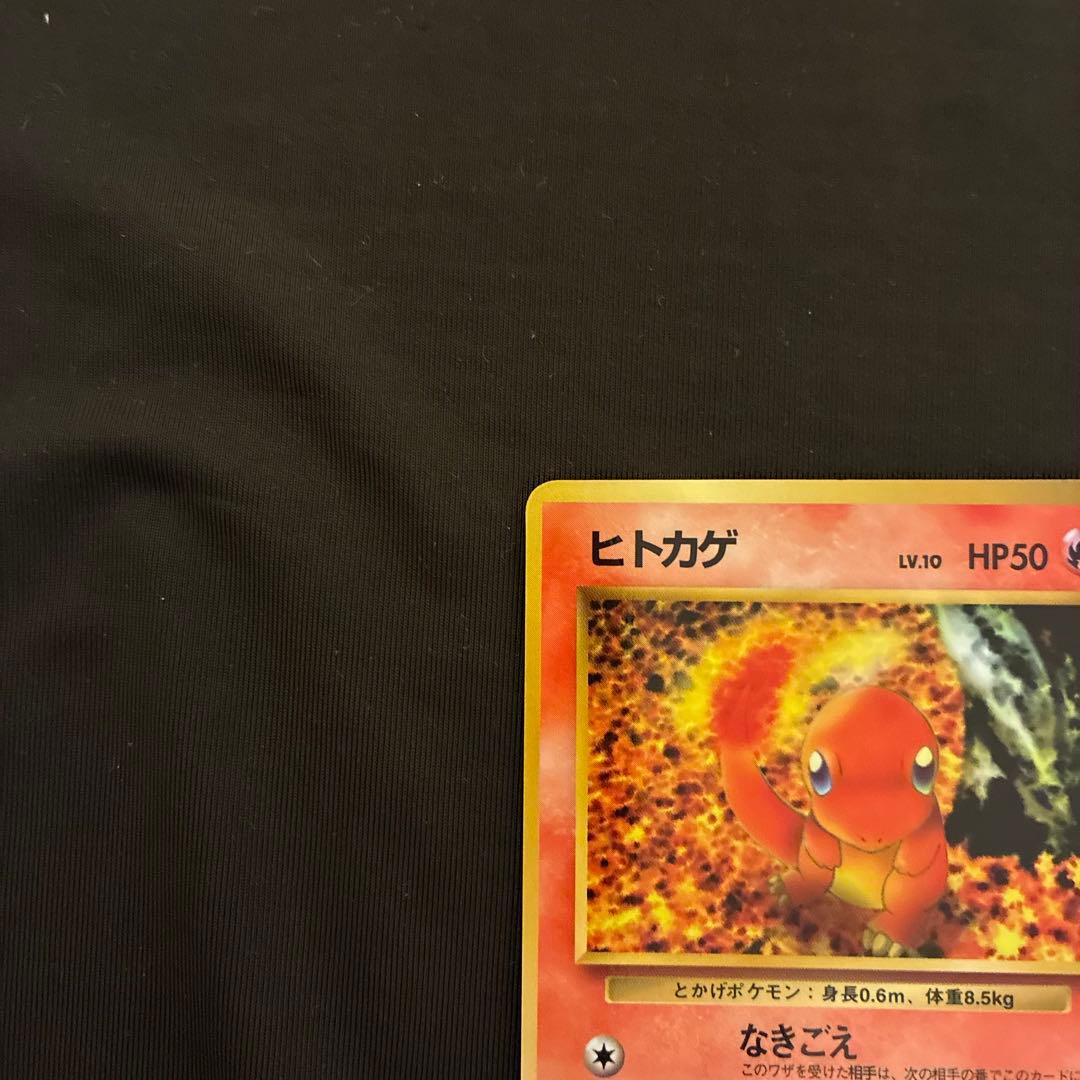 旧裏　ゼニガメ ヒトカゲ　◆ 拡張シート第1弾(青版) セット