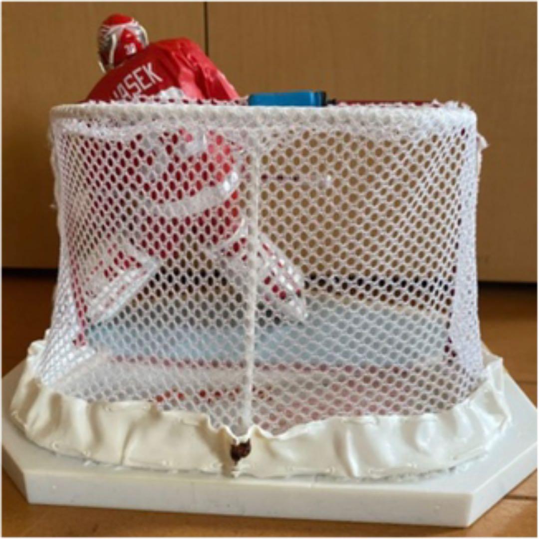 ❤️マクファーレン　NHL ゴーリー　ドミニクハシェック‼️