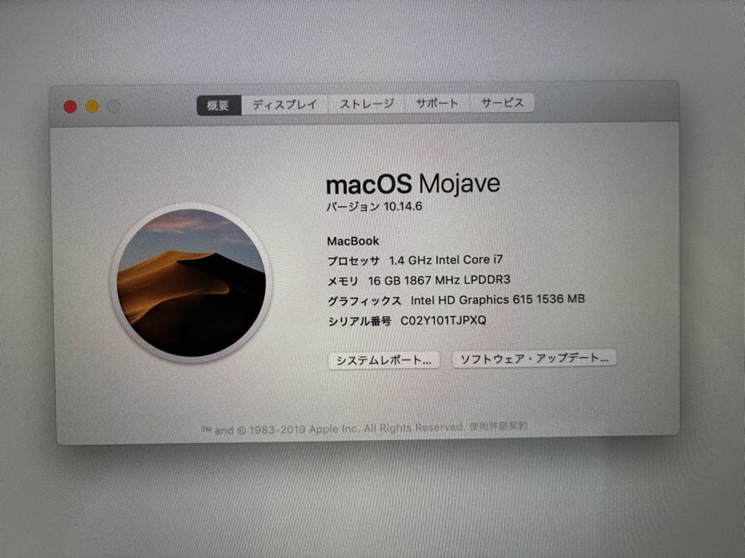 MacBook 12-inch Mid-2017 ゴールApple（アップル）