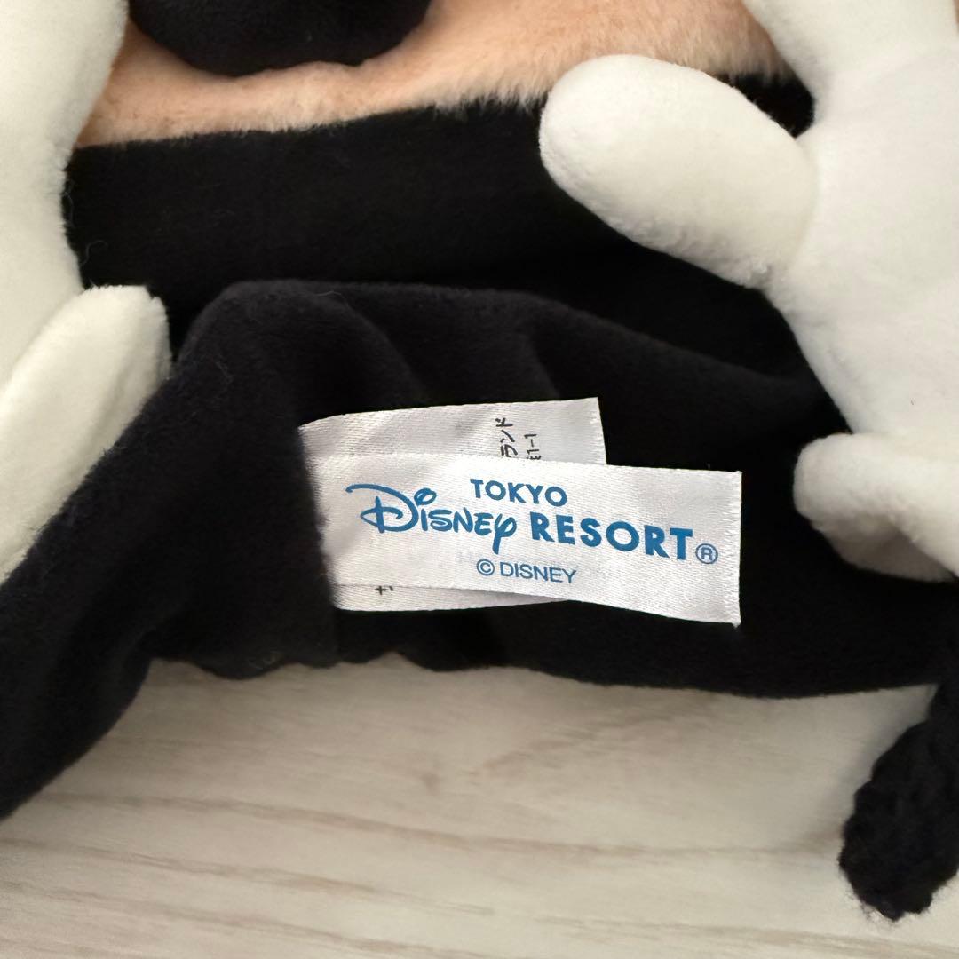 【美品】ミッキー　ミニー　ファンキャップセット