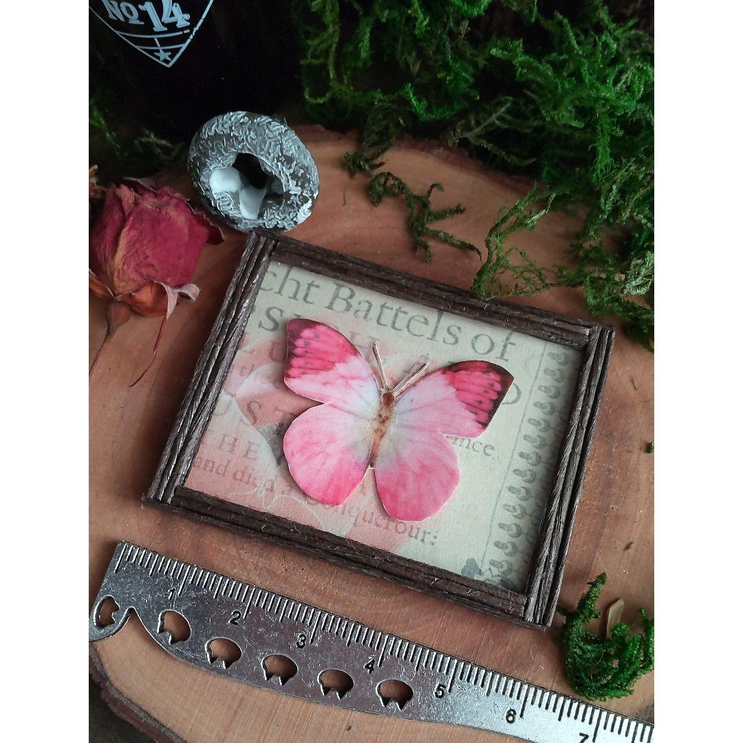 【確認用】【ミニチュア】蝶の標本✽handmade