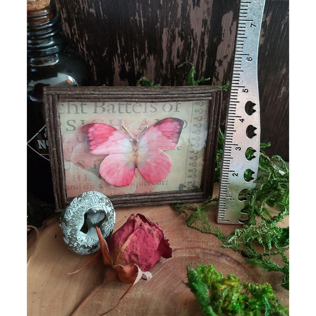 【確認用】【ミニチュア】蝶の標本✽handmade