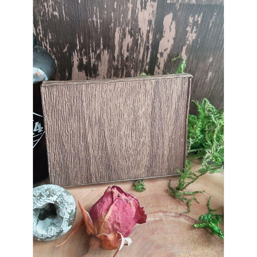 【確認用】【ミニチュア】蝶の標本✽handmade