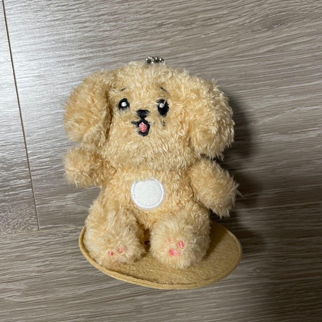 SEVENTEEN MINITEEN DOA ドア マグネットキーリング