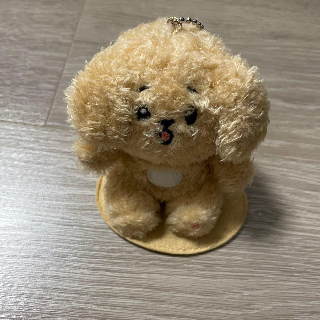 SEVENTEEN MINITEEN DOA ドア マグネットキーリング