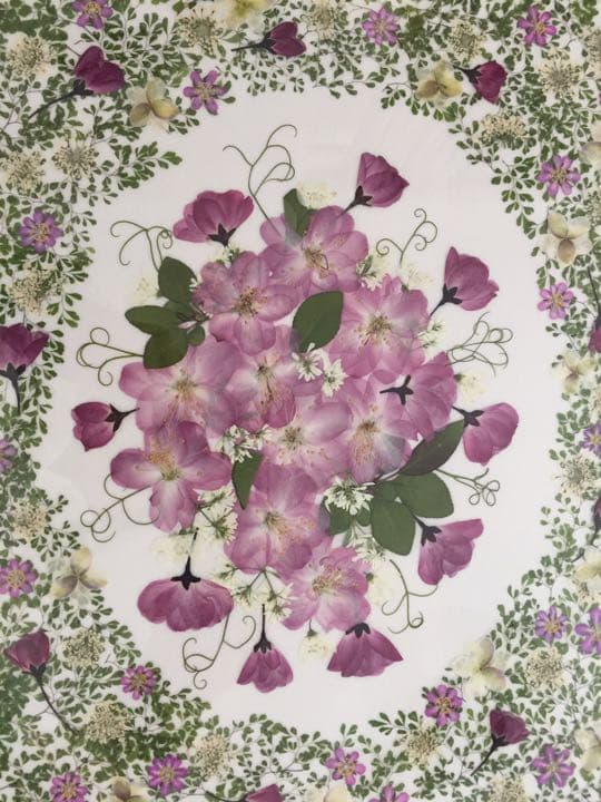 押し花アート「春の花」