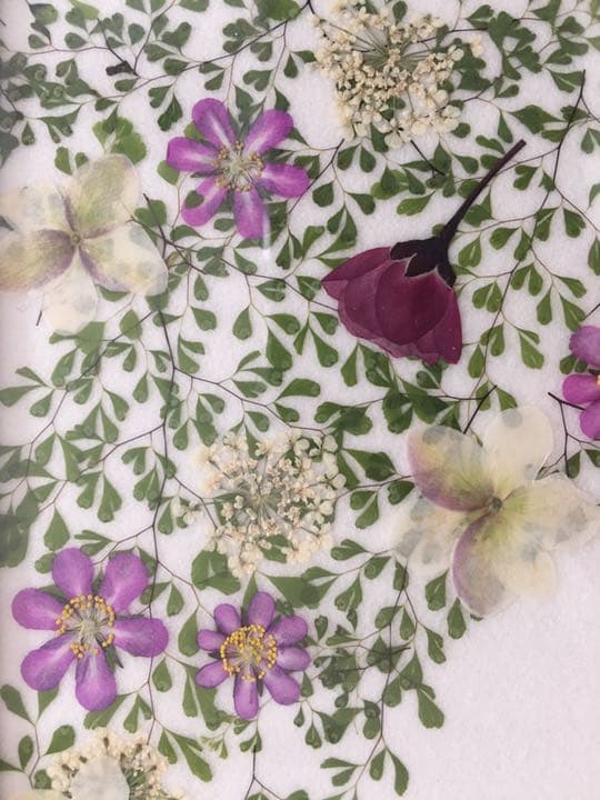 押し花アート「春の花」