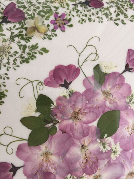 押し花アート「春の花」
