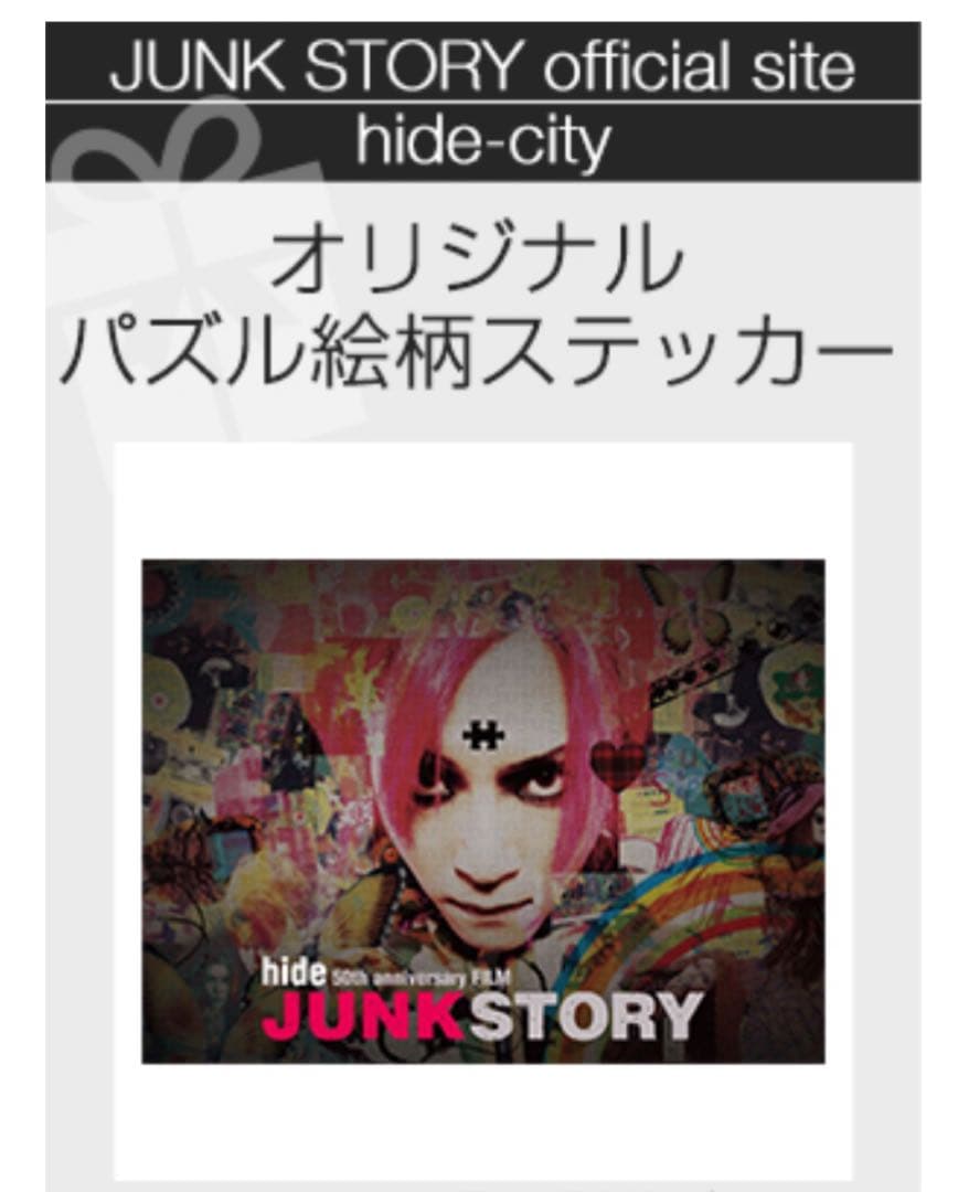 hide JUNK STORY パンフ、DVD 初回特典付