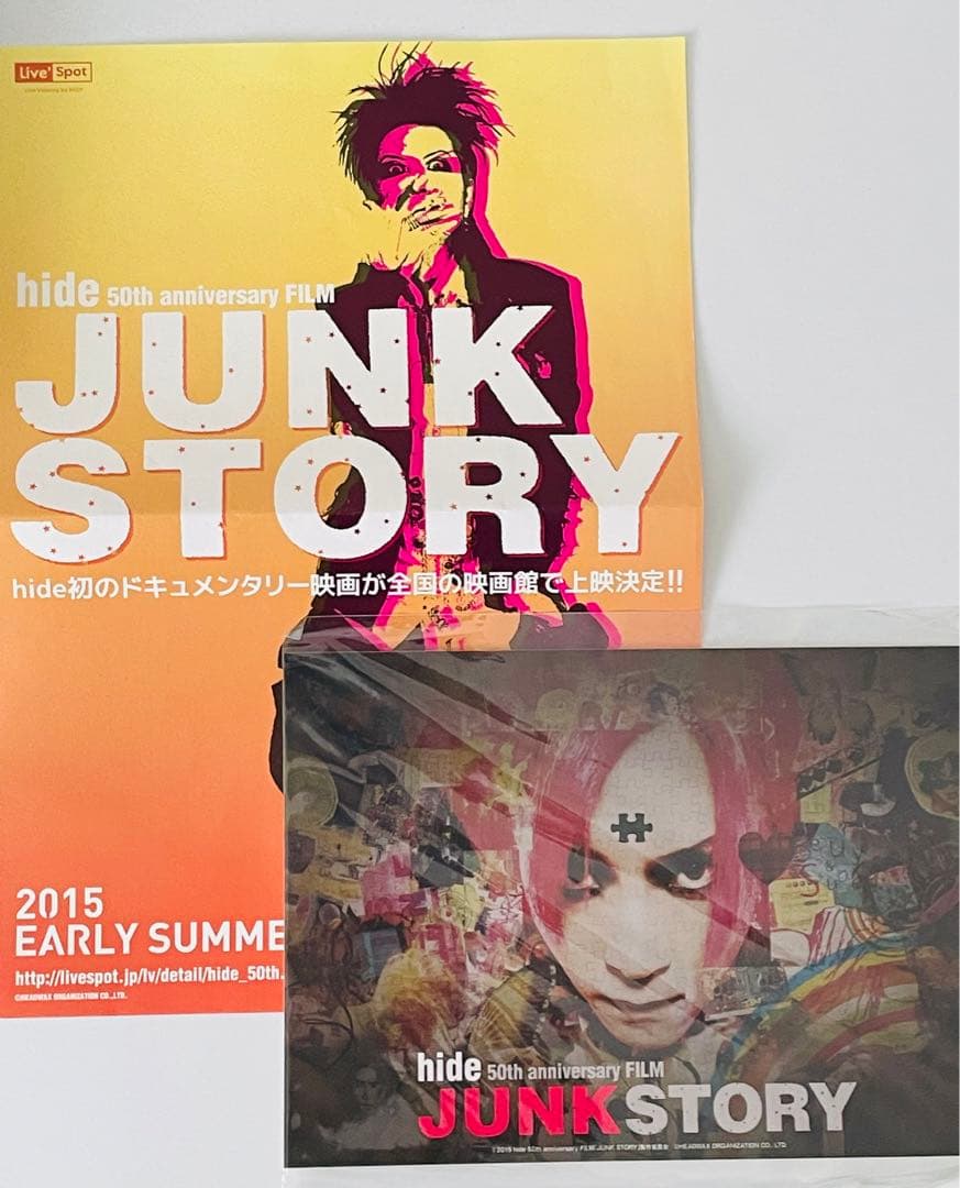 hide JUNK STORY パンフ、DVD 初回特典付
