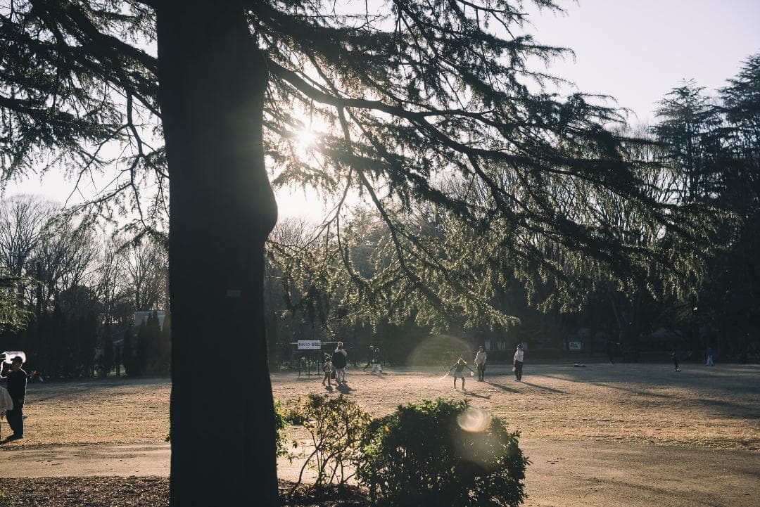 attraction様Leica Summar 50mm F2 オールドレンズ