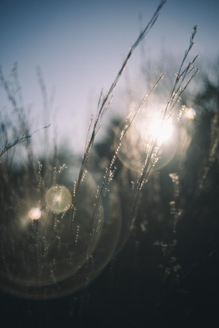 attraction様Leica Summar 50mm F2 オールドレンズ