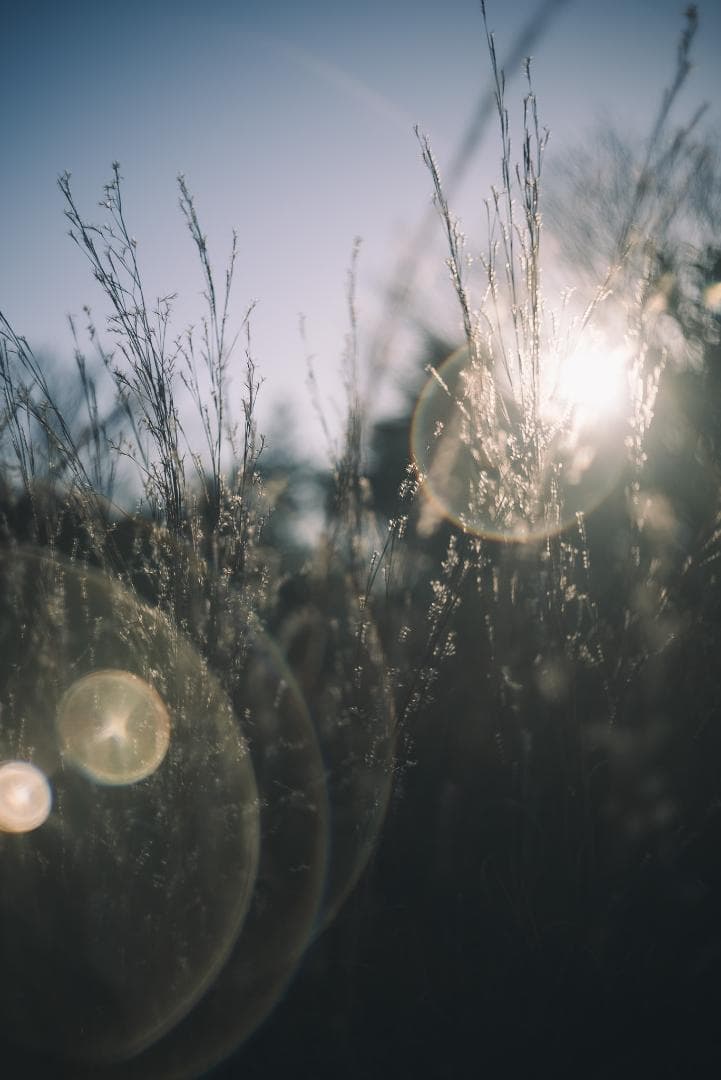 attraction様Leica Summar 50mm F2 オールドレンズ