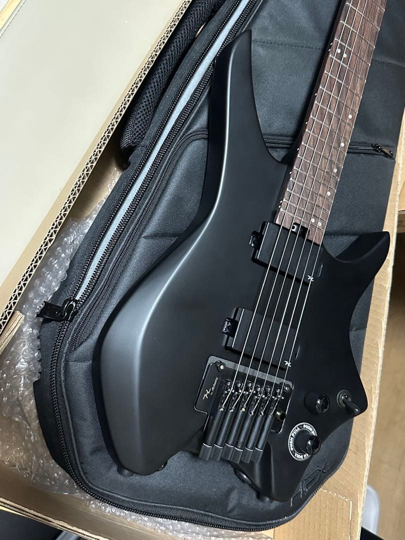 ギター HEX Guitars N500
