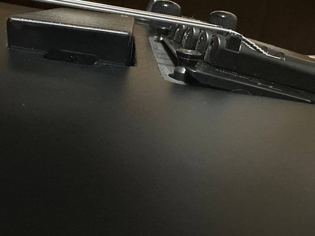 ギター HEX Guitars N500