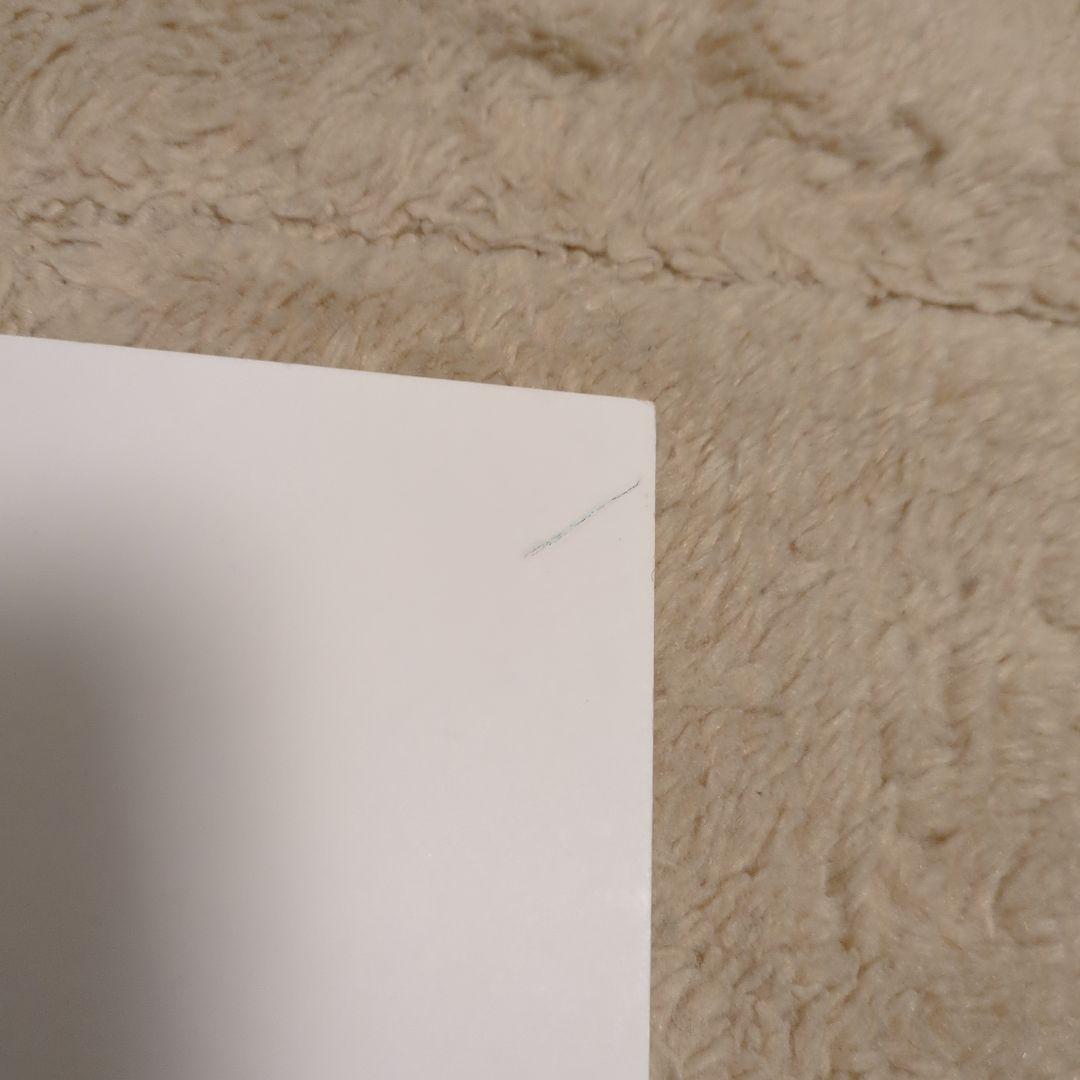 濱浦しゅう　犬のプリント