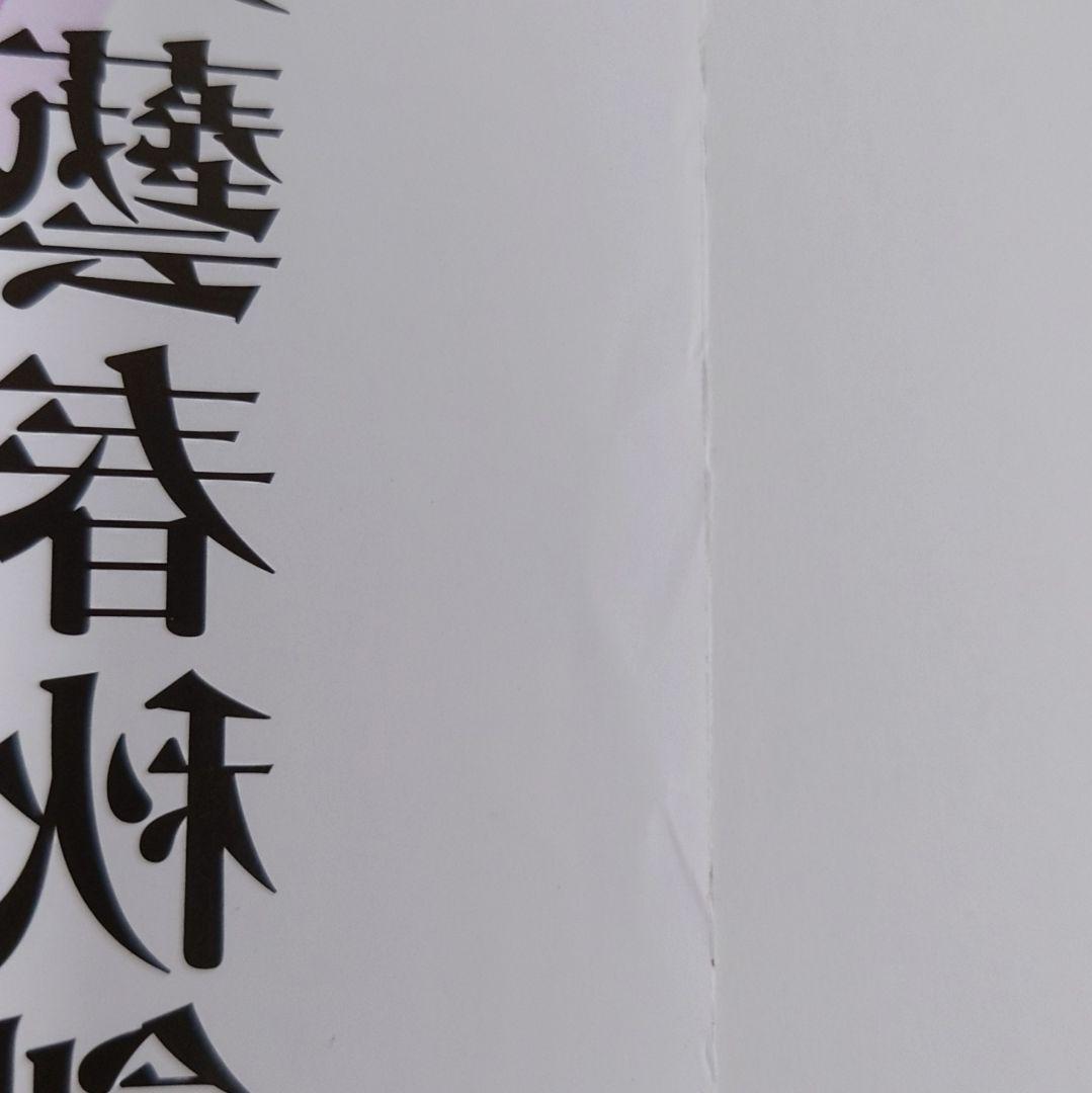 希少 伏 鉄砲娘の捕物帳 宮地昌幸 監督 直筆サイン入り B1 ポスター 当選