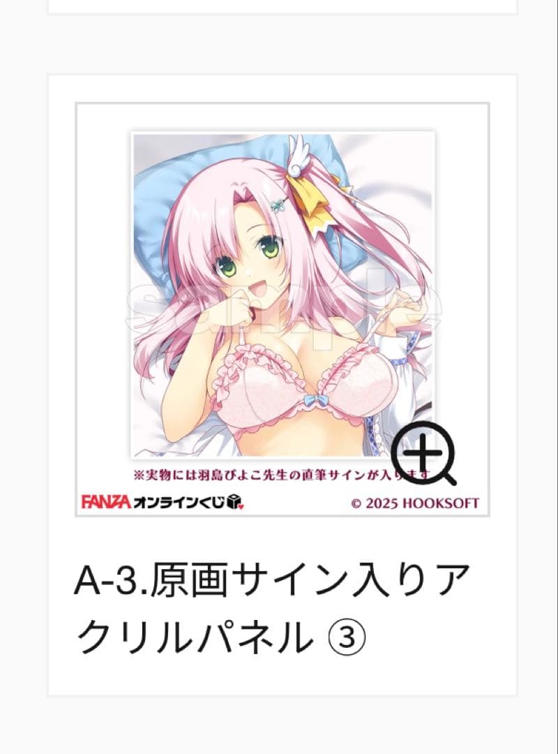 Hooksoft 25周年 DMMくじ 羽鳥ぴよこ先生サイングッズ他