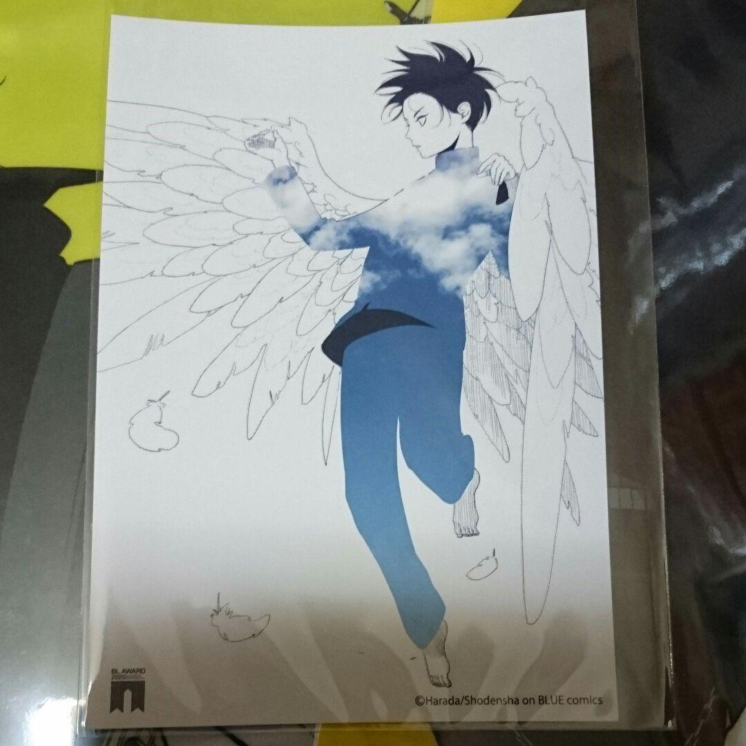 はらだ 特典7点セット