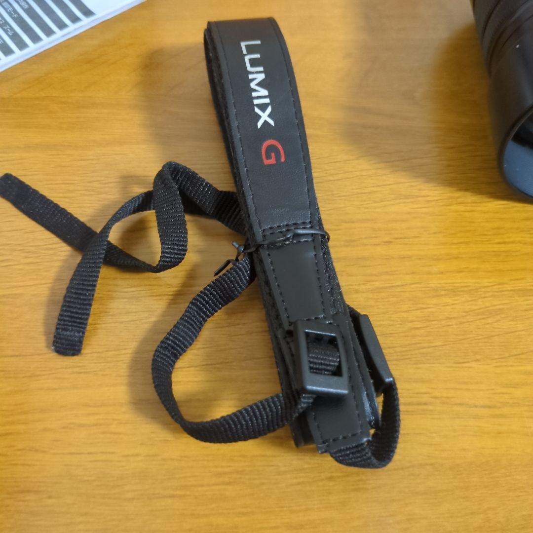 Panasonic LUMIX DC-G100D ダブルズームレンズキット 美品