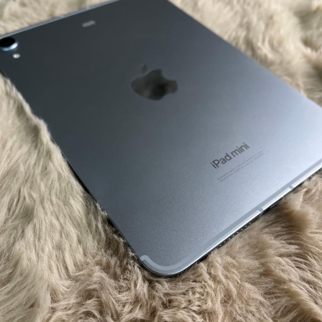 Apple iPad mini(第7世代) 128GB