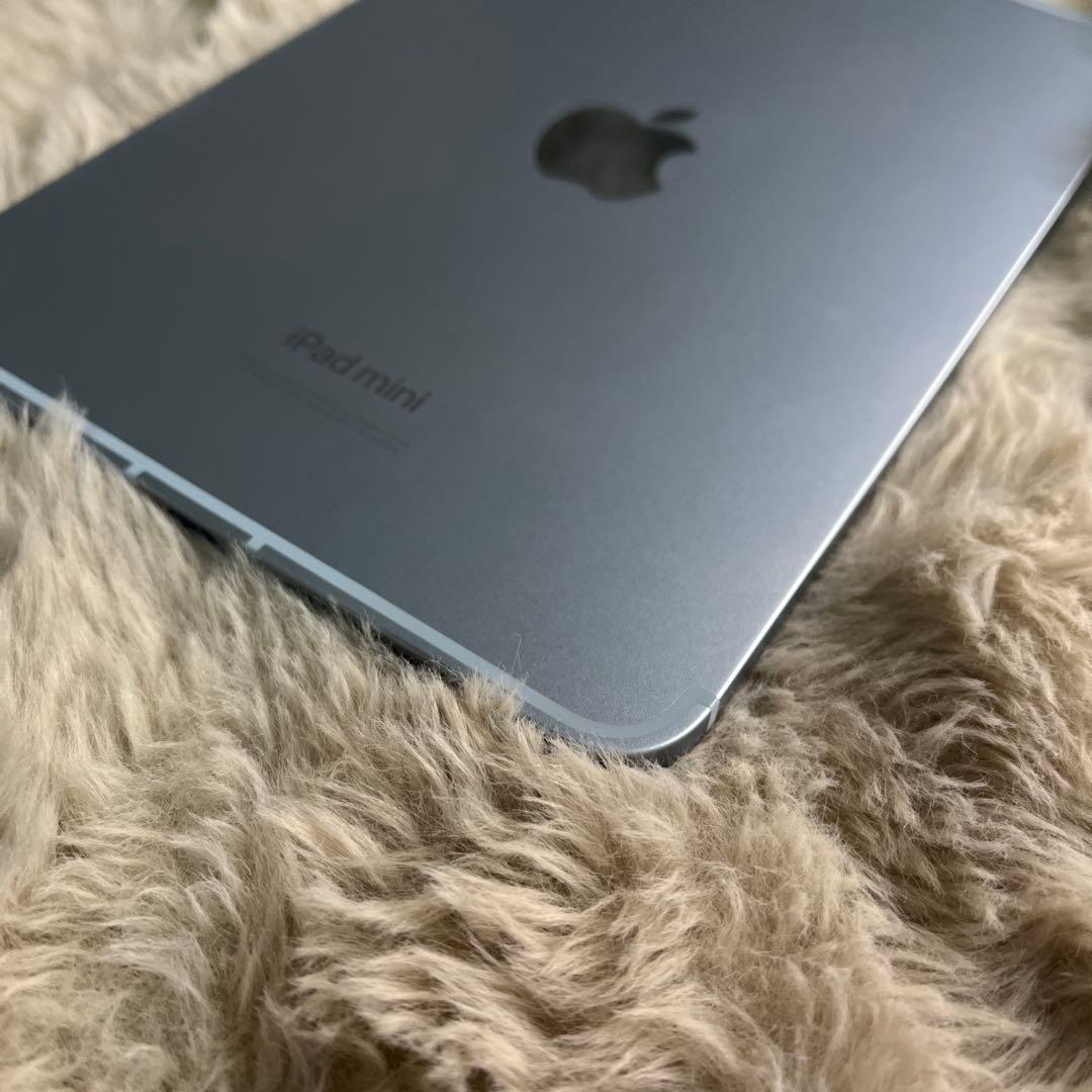 Apple iPad mini(第7世代) 128GB