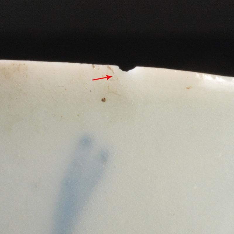 中国　南京染付　青花メダカ文煎茶碗　五客　M　6845