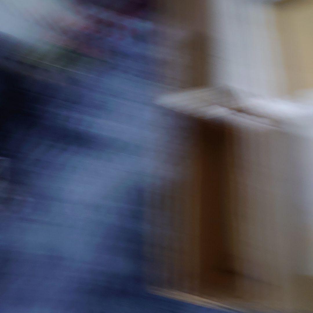 メカロボ ゴバトラー 箱付き