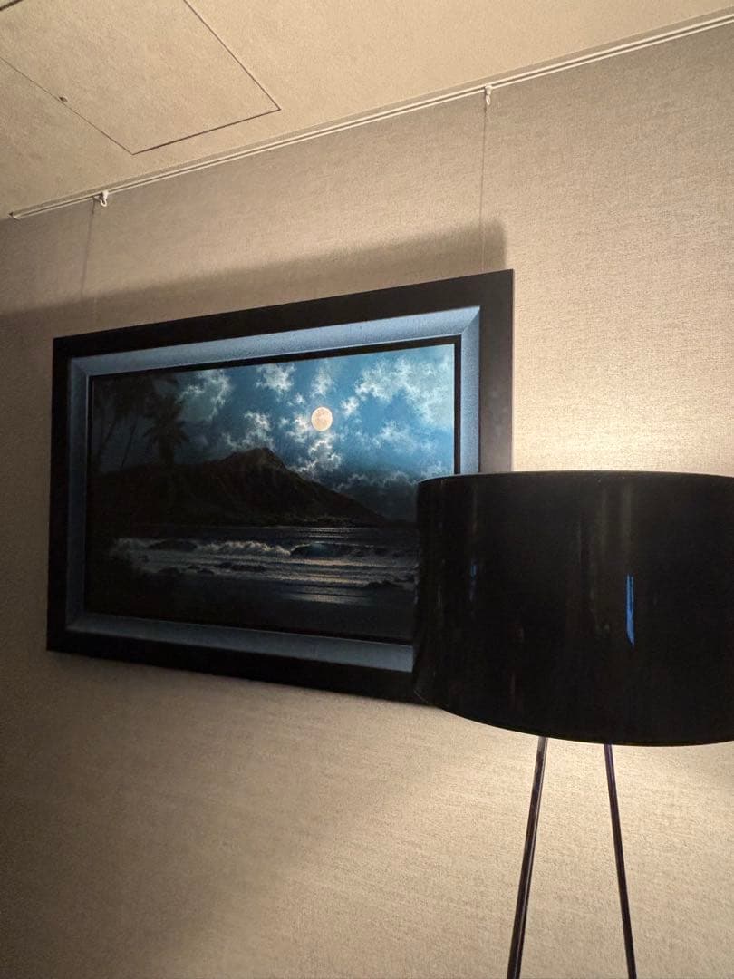 美品　FLOSフロス RAY F2 フロアライト ブラック