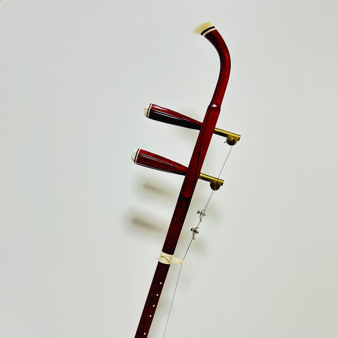 【希少美品】高級 二胡 本革 蛇革 中国 民族楽器 紅木 ハードケース付き