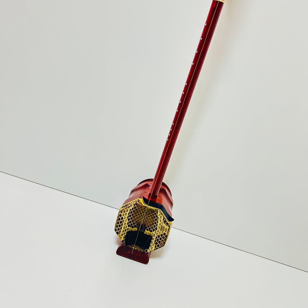 【希少美品】高級 二胡 本革 蛇革 中国 民族楽器 紅木 ハードケース付き