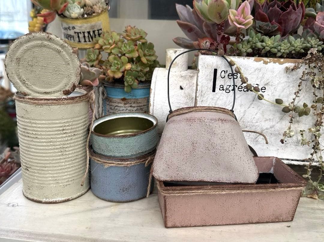 リメイク缶a-47☆多肉植物☆寄せ植え☆インテリア