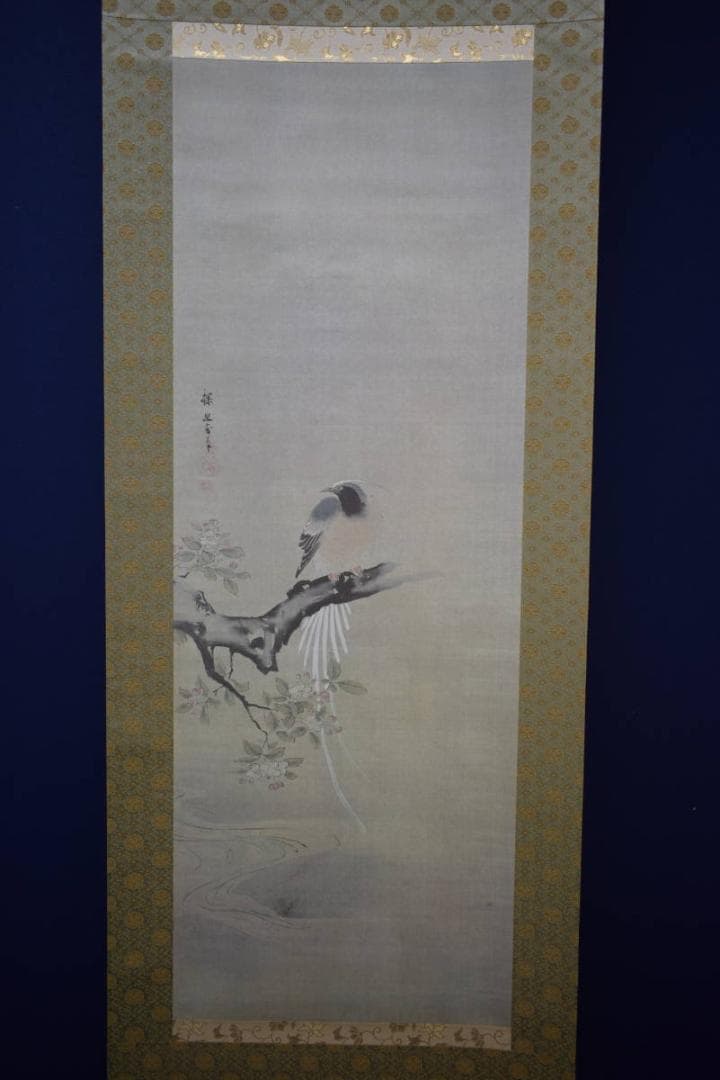 複製/狩野探幽/海常に尾長鳥/工芸/桐共箱付/布袋屋掛軸HH-933